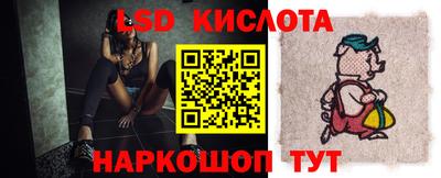 молекула духа Берёзовский