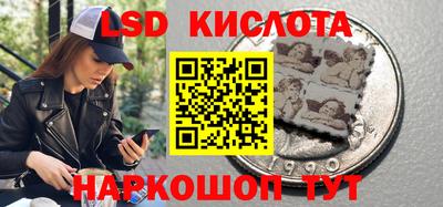 молекула духа Берёзовский
