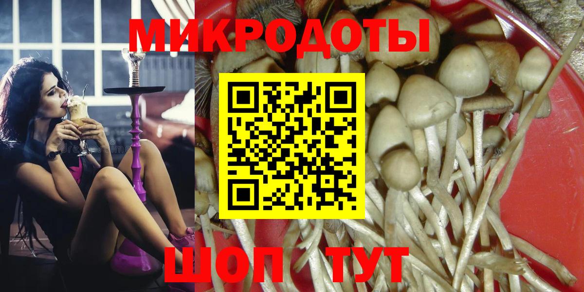 Галлюциногенные грибы Magic Shrooms Кингисепп