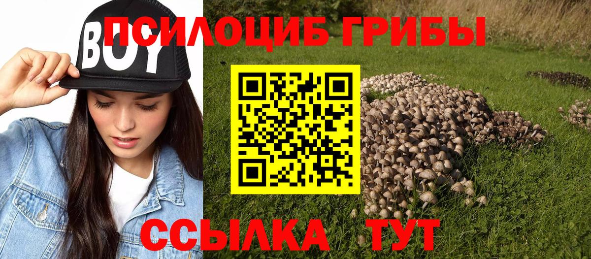 Галлюциногенные грибы Magic Shrooms  Вход с VPN  Кингисепп 