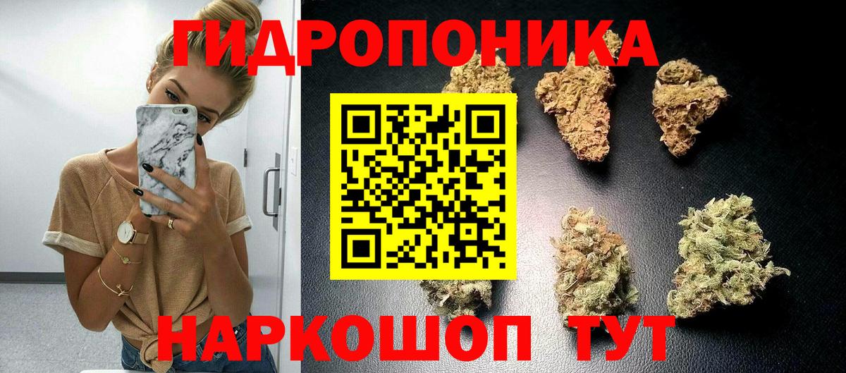 Марихуана Bruce Banner  Бошки Шишки марихуана  Канабис VHQ  Каннабис планчик  Вход с VPN  Кингисепп 